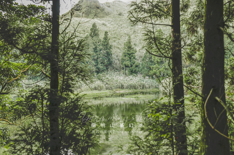 《台北士林》陽明山夢幻湖 有如置身歐美公園的森林系靜謐湖泊