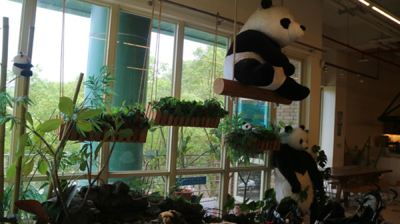【主題餐廳】台北動物園裡的貓熊世界主題餐廳