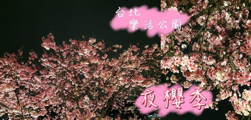旅遊。台北★樂活夜櫻季 來樂活公園賞夜櫻 · 妮妮˙ˇ˙用類單記錄生活!!