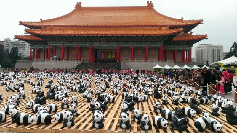 台灣黑熊來助陣~1600隻紙貓熊