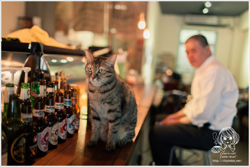 敦南●老木咖啡●貓咪與犬療癒系文青咖啡館