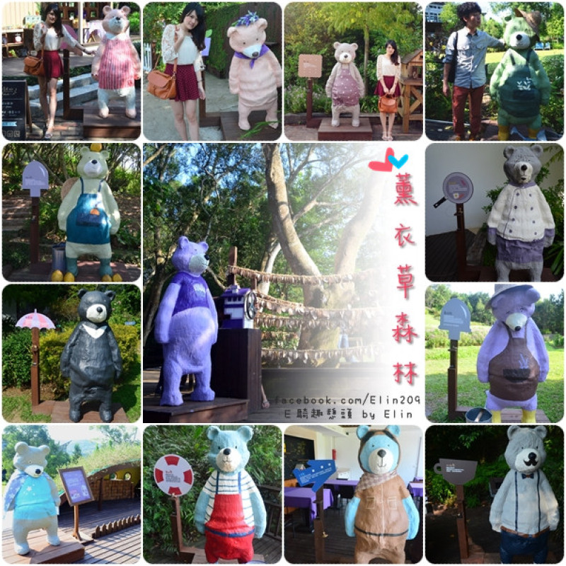 【遊】一起尋找森林裡的13隻彩繪熊‧薰衣草森林-明德店