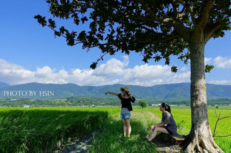 【台東】賢情玉緻民宿，享受被稻田包圍的幸福感，尋找池上原味美食