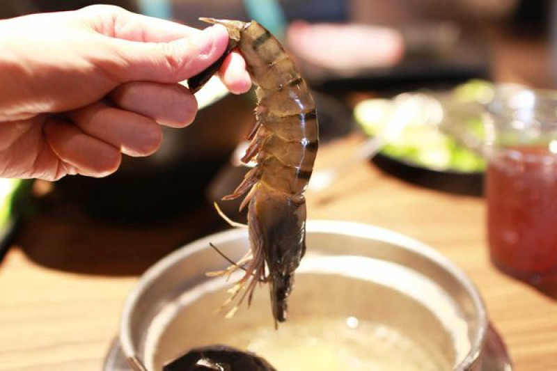【新莊火鍋】樂崎火鍋-純正湯頭，海產鮮甜