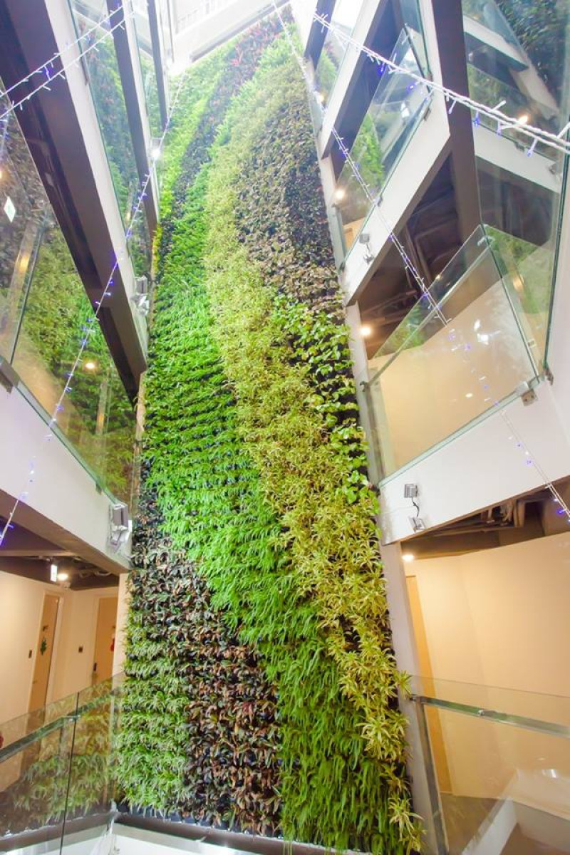台中綠色環保旅館 9層樓高植生牆好吸睛!!