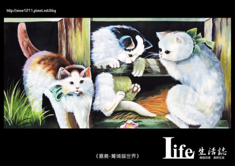 【Fun輕鬆】小小路程蘊藏大大驚喜--嘉義菁埔貓世界