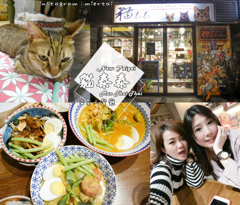 食記|| 新北市 林口區 充滿繽紛系貓咪 喵星人出沒中 貓泰泰Mao Thai Thai  創意泰式料理 以貓為大的泰式餐廳 