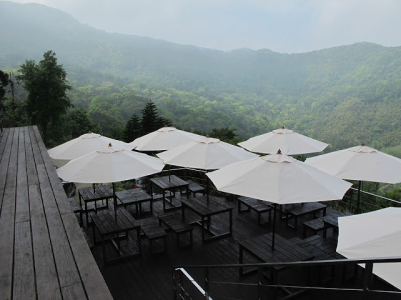 台灣農林熊空茶園。來三峽山上品茶