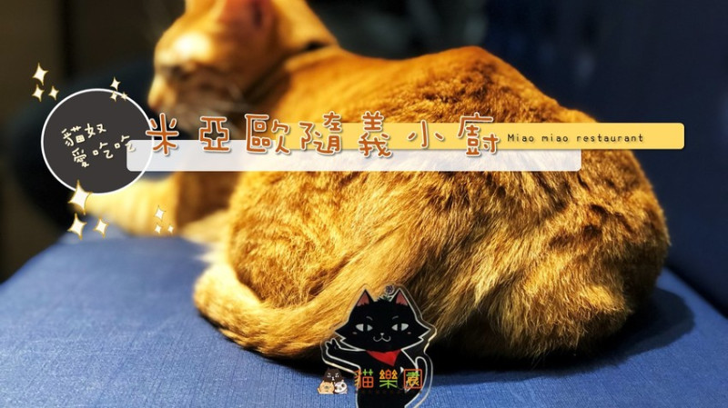 【台北捷運市政府站】台北信義區貓餐廳 Miao米亞歐隨義小廚，有超級多的貓咪還有美味的義大利餐點在這邊唷。