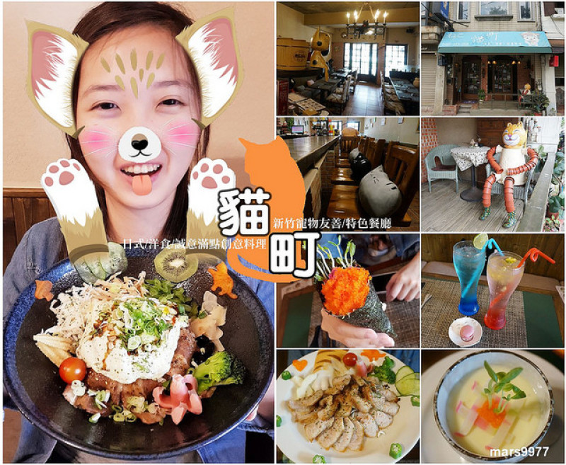 【新竹 美食】貓町 日式、洋食、創意料理/寵物友善/特色餐廳．被滿滿的貓咪跟美食包圍著，都被療癒了!! 還能漫步新竹經國綠園道，享受城市森呼吸。