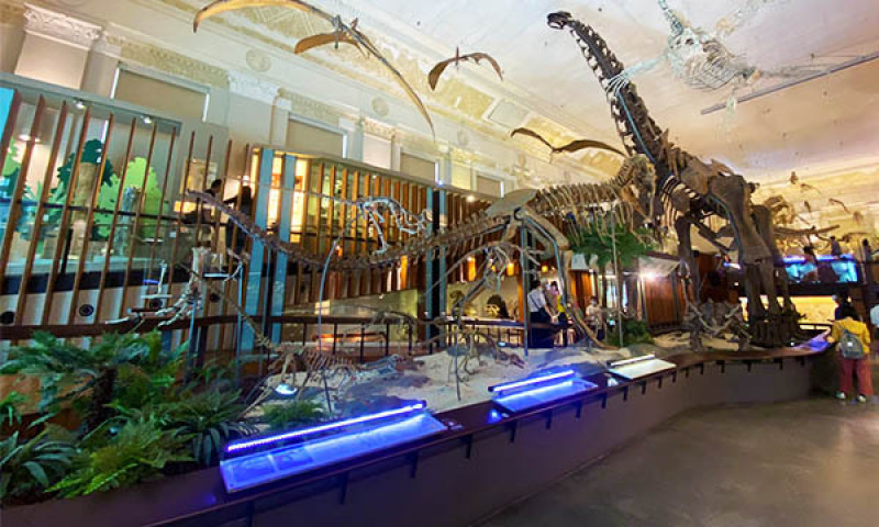 臺灣博物館｜門票只要30元可以看展覽和恐龍！