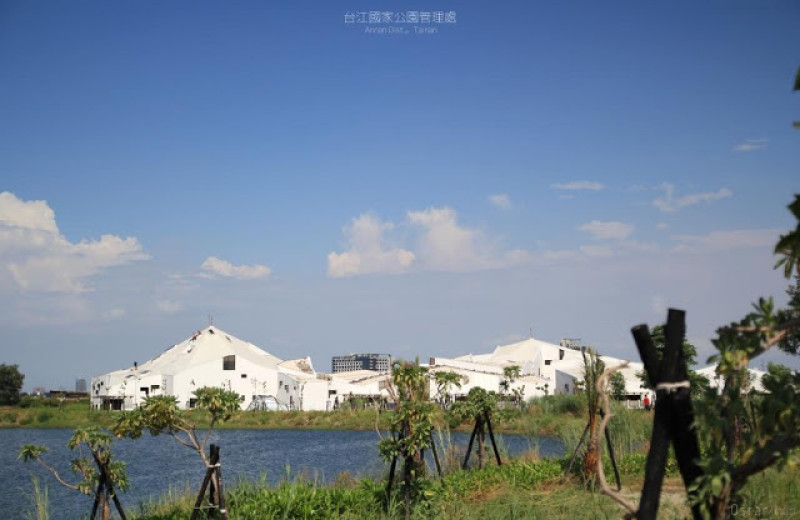 台南。安南。藍白色調佐點綠 融入自然環境的群聚 / 台江國家公園管理處