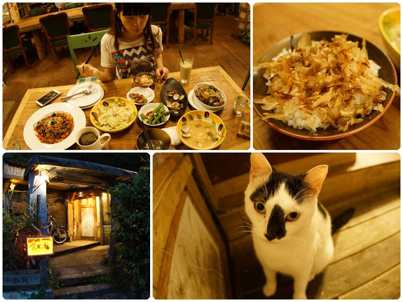 「貓店長」新北瑞芳|享受市郊山林裡的自然寧靜愜意 ❤ 食不厭