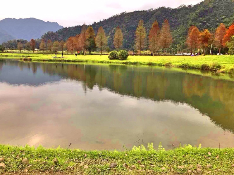 [宜蘭旅遊]員山私房景點蜊埤湖。彷彿身在國外的大片落羽松美景！