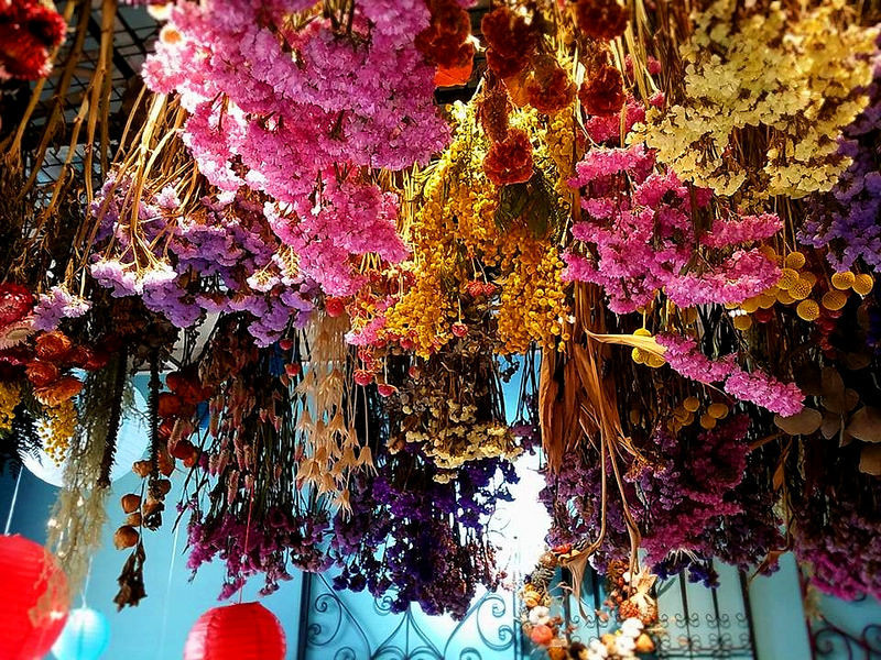 『嘉義市區_風箏旅人』帶您進入色彩繽紛的花花世界，將祝福毫無保留的保存下來。