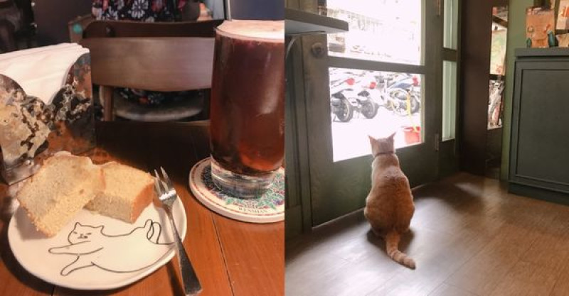 小V食記 台北信義區 愛貓之人一定要知道的咖啡店 - 聞山咖啡永春有貓店（有完整menu )
