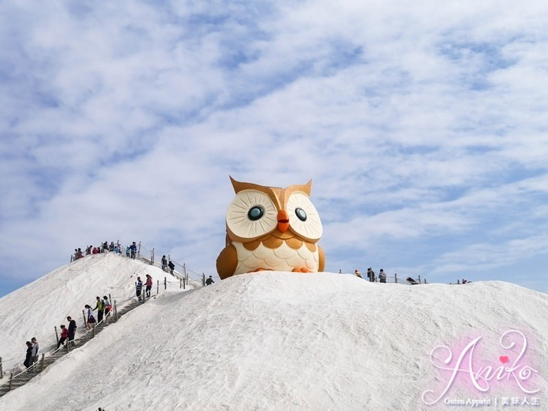 【台南旅遊】七股鹽山。雪地上出現超萌巨大貓頭鷹！陪大家一起過年 - ANIKO 艾妮可美味人生