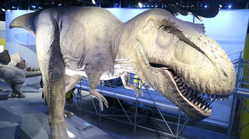 【台北展覽】讓我們一起到恐龍實驗室探險去@士林科教館