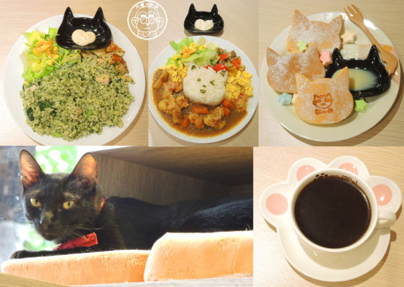 呷飽祙【新北板橋･貓欸Camulet】用餐時享受被群貓包圍        
      