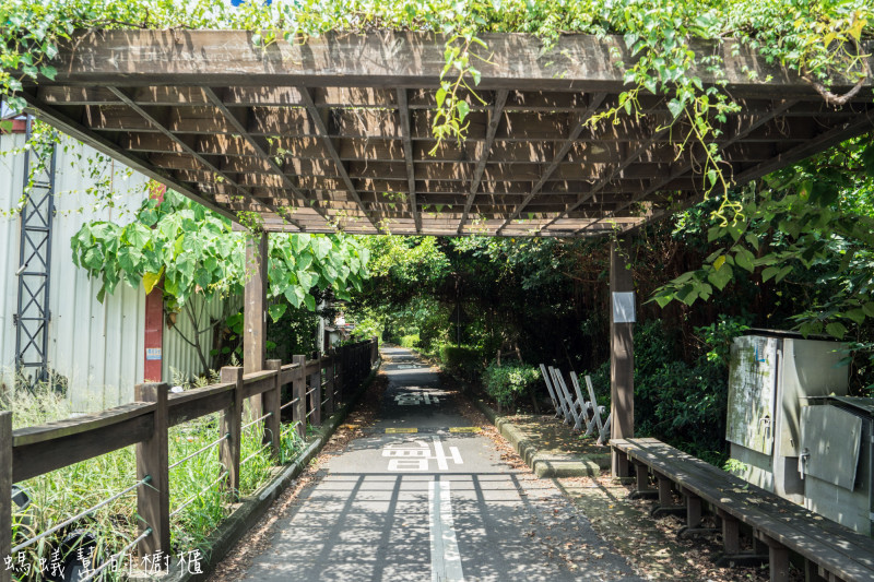 彰化埔心景點|如同進入龍貓隧道，埔心環鄉自行車道，欣賞田園綠意風光。
