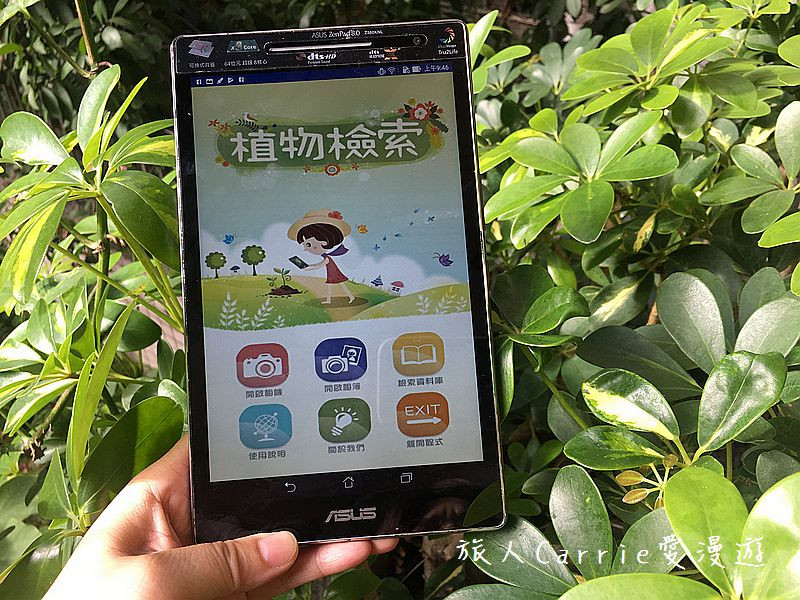 植物檢索App，讓手機也能變身成植物百科全書！台南大學植物檢索教育推廣計畫