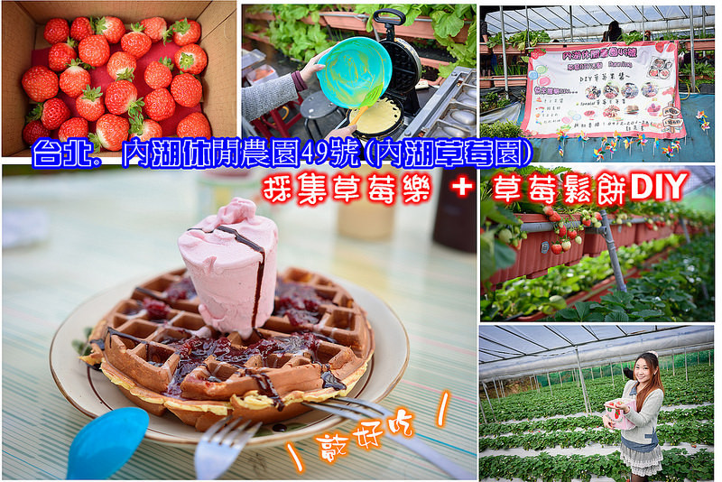 【台北遊記】內湖休閒農園49號/採集草莓樂/鬆餅草莓果醬DIY/內湖草莓園