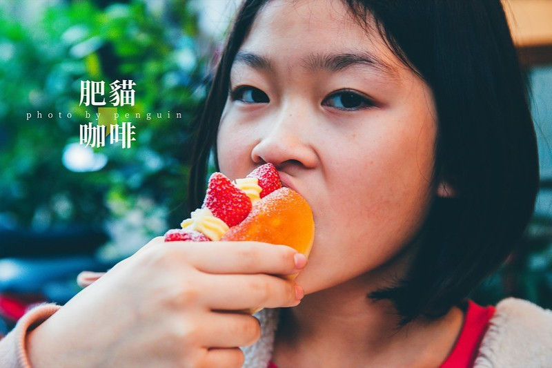 台南．中西區．坐落靜謐神農街的肥貓咖啡館．冬季限定的隱藏版甜點．草莓卡士達醬餐包
