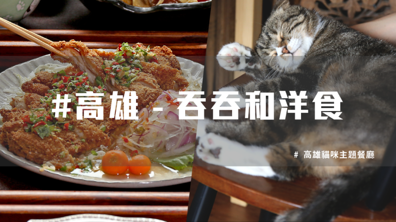 【高雄美食推薦】貓咪主題餐廳，吞吞和洋食 貓奴必訪！