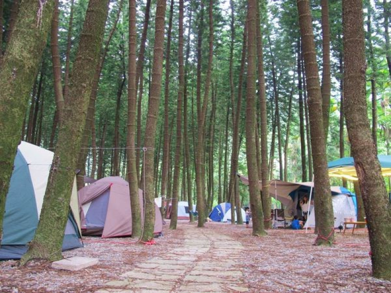 【露營】第3露南投 在森林裡避暑，非高海拔卻沁涼無比的度假體驗水秀農場