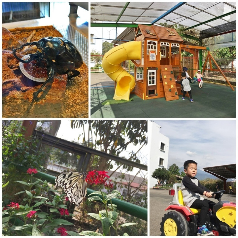 【旅遊】蝴蝶小鎮生態休閒園區|翩翩飛舞蝴蝶園、與昆蟲近距離互動、兒童遊戲區暢玩~娛樂與生態教學同時擁有