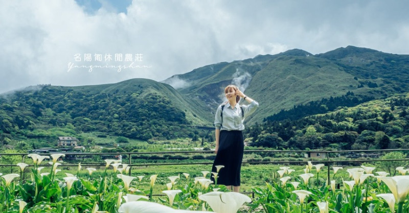 陽明山竹子湖海芋季︱名陽匍休閒農莊