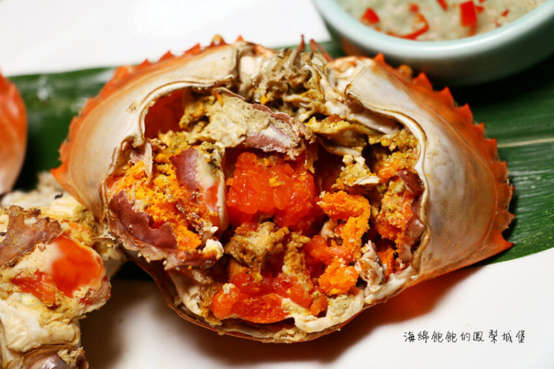 板橋美食「青雅中餐廳」秋天就是要吃螃蟹啊！爆滿蟹膏的肥美紅蟳爽度一流
