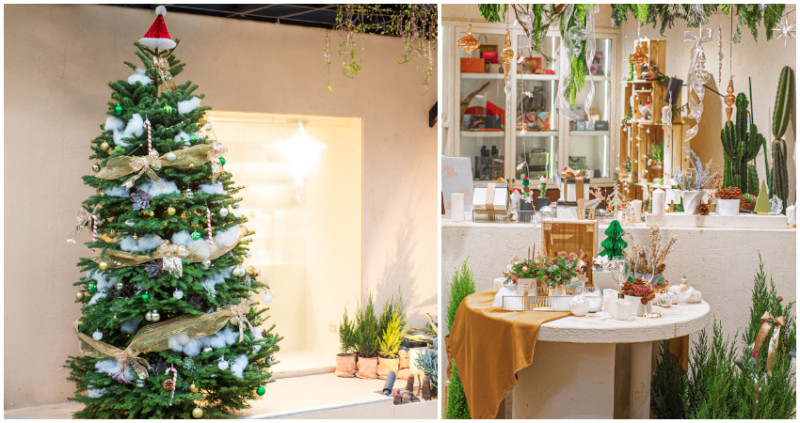 植藝品牌「有肉」歡慶8週年，創意結合綠意輕鬆打造居家聖誕氣氛。