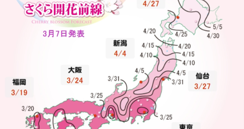 2024日本櫻花預測來了！日本全國「賞櫻景點開花日」最新大公開，「3大櫻花預測網站圖表」一次看，3/18東京預期最快開花。