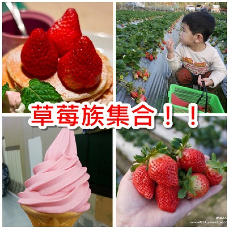 草莓族集合！！草莓季限定、採草莓熱門點、草莓冰淇淋、草莓甜品報你知！