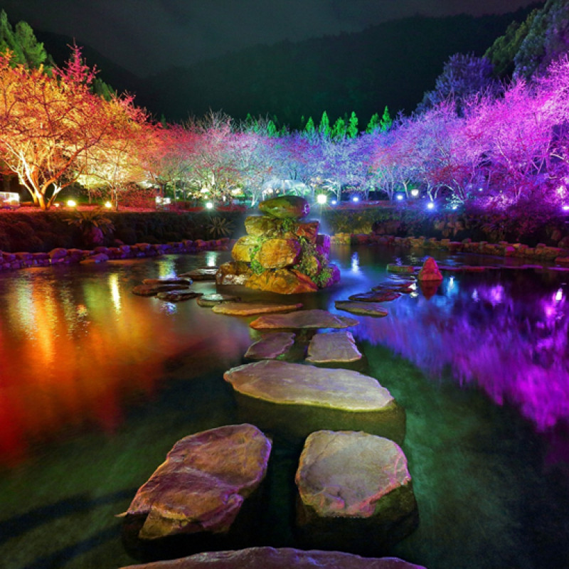 櫻花大爆發！日月潭櫻花季即將啟動，周邊8個絕美賞櫻景點大公開，還有夜間櫻花燈光秀，絕對讓你浪漫到心花朵朵開。