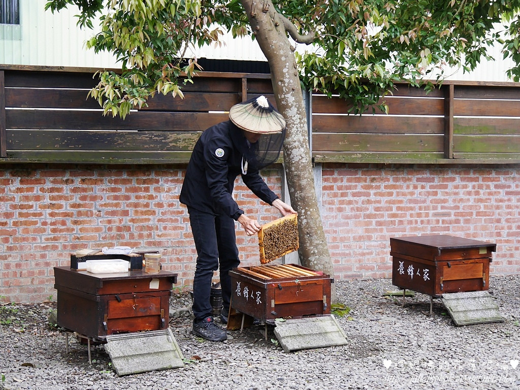 【宜蘭-員山鄉】「養蜂人家蜂采館」了解蜜蜂生態，品嘗新鮮蜂蜜及花粉，館內的Honey Cafe好食光有提供輕食、鬆餅下午茶及兒童遊戲區