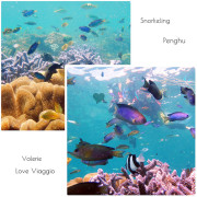 【澎湖 Penghu】七美浮潛 遇見澎湖最美麗海洋 媲美帛琉的繽紛珊瑚群與熱帶魚