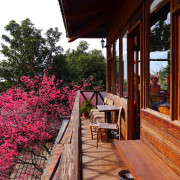 【淡水】景點・百年古厝的玻璃木屋，櫻花樹旁喝咖啡超浪漫!天元宮附近老宅文青咖啡廳 ​