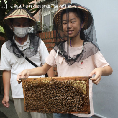 【新竹親子旅遊/健康伴手禮推薦】愛蜂園-蜜蜂生態體驗。只要⟪150元⟫就可以來一趟好吃又好玩的蜜蜂生態之旅，輕鬆化身為小小蜂農，採收屬於自己的天然蜂蜜！