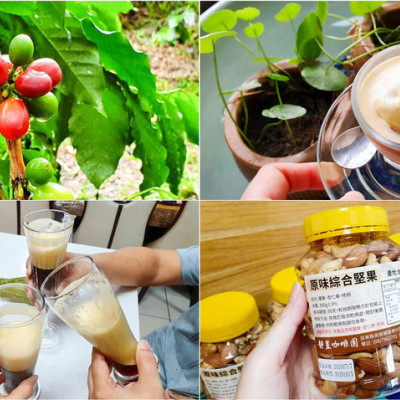 【屏東咖啡】靜星咖啡園 無農藥種植 在地咖啡小農 曬豆/洗豆/烘焙 採全預約制