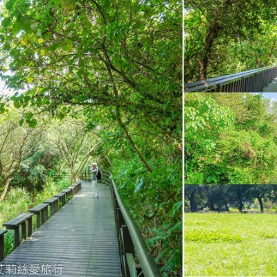 台北景點》綠色秘境 最美自然公園 關渡自然公園 豐富的野生動植物自然生態 水鳥觀賞區 - 艾莉絲愛旅行