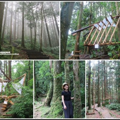 東眼山打卡新亮點森林裡的木構裝置藝術｜漫步杉林間享受芬多精｜避暑療癒系步道