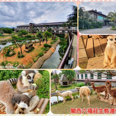 [住]新竹 跟動物親密互動體驗~可愛狐猴 狐蒙等動物等您到來 關西六福莊生態渡假村