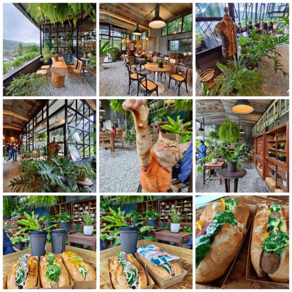 台北市 餐飲 咖啡館 野人花園 SAVAGE GARDEN