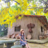 |台南景點 白河大山宮 金黃色阿勃勒滿開於獨立竹屋旁 夢幻浪漫景像讓大家愛不釋手| 照片