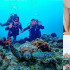 小琉球綠蠵龜潛水住宿 照片