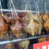 台南市北區 好棒棒土雞便當 照片