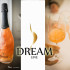 Dream Line 璀璨頂級分子氣泡酒 照片