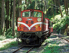 「阿里山火車碰壁」森鐵線郵輪式列車